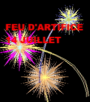 FEUX DARTIFICE 2021 a