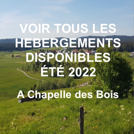 VIGNETTE HBGT 2022 a